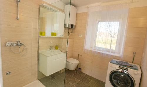 uma casa de banho com um WC e uma máquina de lavar roupa em Rural Villa Olive Krka- 30 min from sea coast,private pool, free parking, wifi, family friendly, National park Krka 10 min em Ljubotić