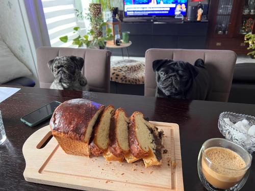 una pagnotta di pane seduta su un tavolo con due cani di OLGA Chambre D'hôte a Verdun-sur-Meuse
