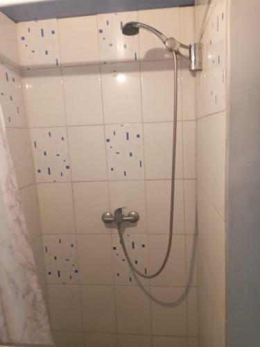 a shower in a bathroom with a shower head at Terminal Pajarito in Santiago