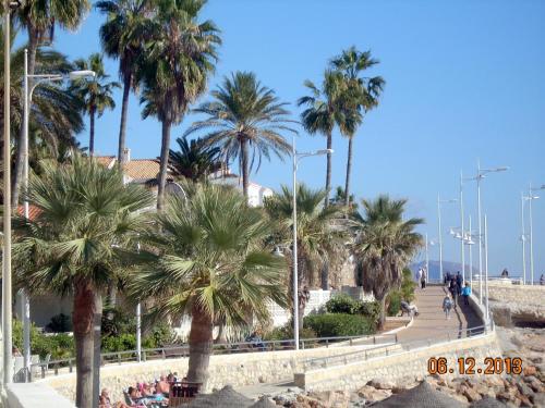 a beach with palm trees and a sidewalk at Apartamentos StarNerja II in Nerja
