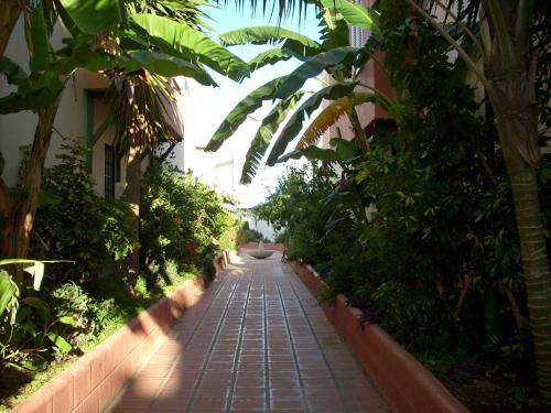 a brick path with trees and a building at Apartamentos StarNerja II in Nerja