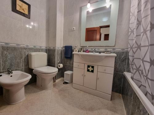 a bathroom with a toilet and a sink and a mirror at Apartamento Praia de Altura in Altura