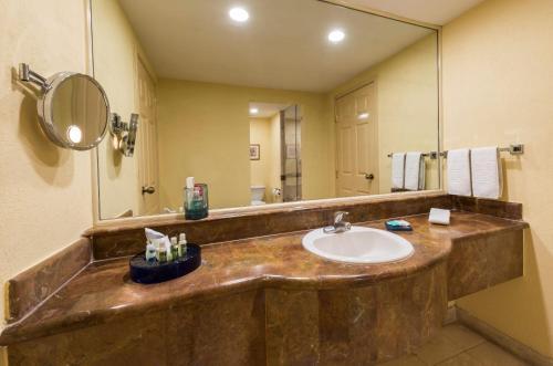 a bathroom with a sink and a mirror at Camino Real Puebla Angelopolis in Puebla