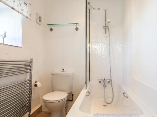 ein weißes Badezimmer mit Toilette und Dusche in der Unterkunft Middle Cottage in Newport