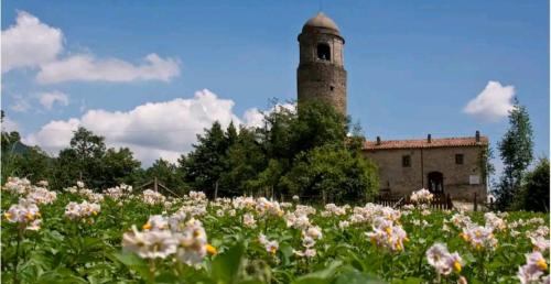 Imagen de la galería de La "Casina nel borgo" , relax a un passo dalle 5 Terre, en Merizzo