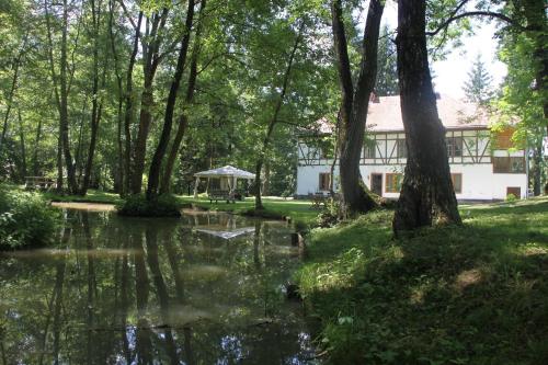 a house in the woods with a pond and trees at Zabola Estate - Transylvania in Zăbala