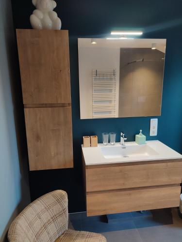 a bathroom with a sink and a mirror at Housedurbuy in Durbuy
