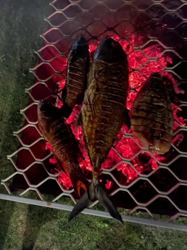 two fish are cooking on a grill at Thoddoo Island Life in Thoddoo