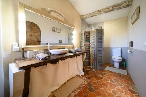 a bathroom with a sink and a mirror and a toilet at Fontdecounet in Lardiers