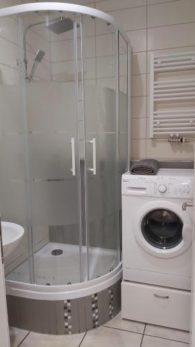 a bathroom with a shower and a washing machine at Stumpf Verpachtung Gbr in Treuchtlingen