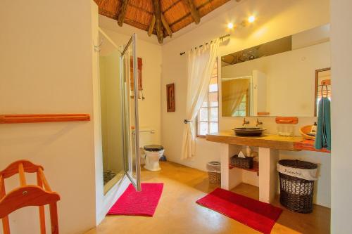 a bathroom with a sink and a mirror at Casart Game Lodge in Grietjie Game Reserve