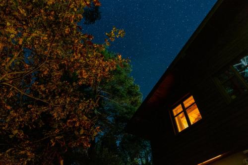 a window of a house at night with a tree at Chata u Gregora v Slovenskom raji in Smižany