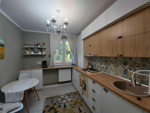 una cucina con lavandino e piano di lavoro di Apartament Marasesti a Piteşti