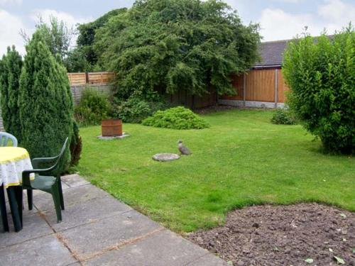 un uccello seduto sull'erba in un giardino di Sunnyside Cottage a Skegness