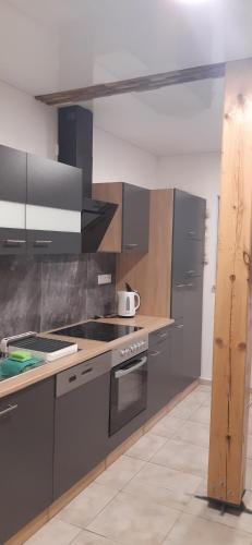 a kitchen with gray cabinets and a stove top oven at Stumpf Verpachtung Gbr in Treuchtlingen