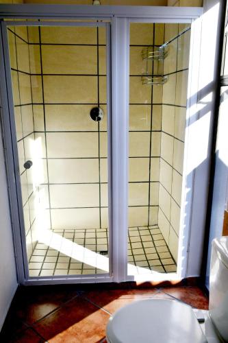 a bathroom with a shower and a glass door at Barnstormers Rest in Malelane