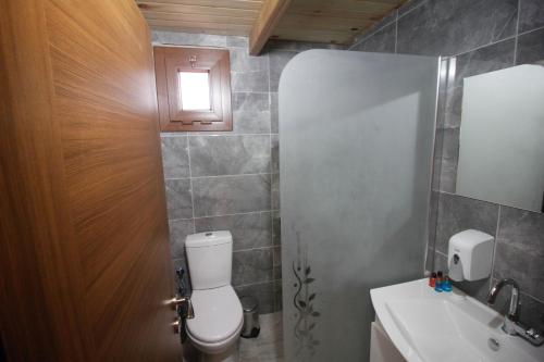 a bathroom with a toilet and a sink at Oce Bungalow in Ardeşen
