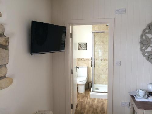 a bathroom with a toilet and a television on the wall at King William IV in Camerton
