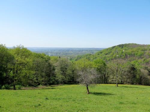 a tree in a field of grass with mountains in the background at Holiday Home La Salesse by Interhome in Meyssac