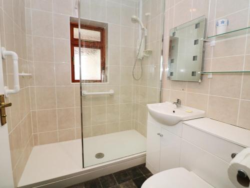 a bathroom with a shower and a toilet and a sink at Eryl in Pwllheli