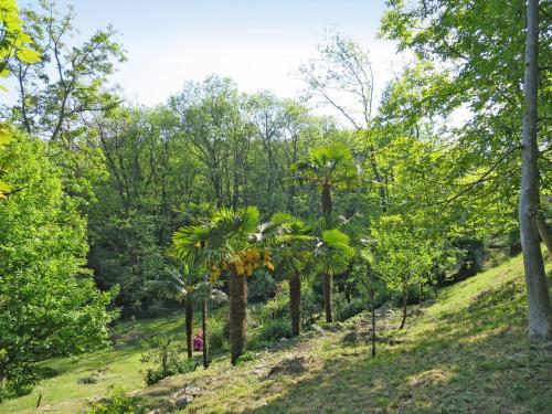 Giardino di Holiday Home Casa del Pittore by Interhome