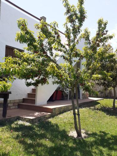 Chalet Zorollo con piscina