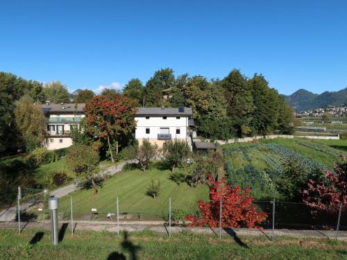a house on top of a hill with trees at Apartment Angeli by Interhome in Vignola