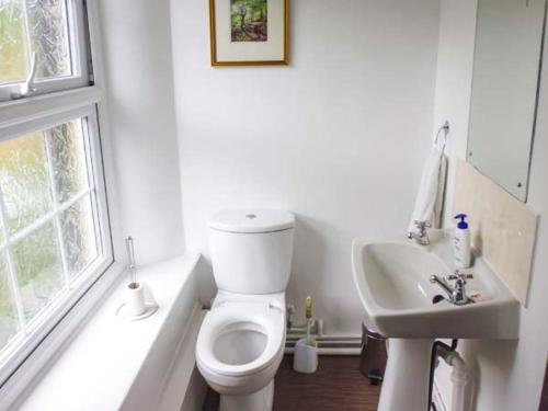 a white bathroom with a toilet and a sink at Harley Apartment in Bishops Castle