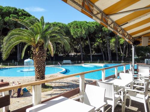 una palmera frente a una piscina en Holiday Home Maxi Caravan Deluxe by Interhome, en Baia Domizia