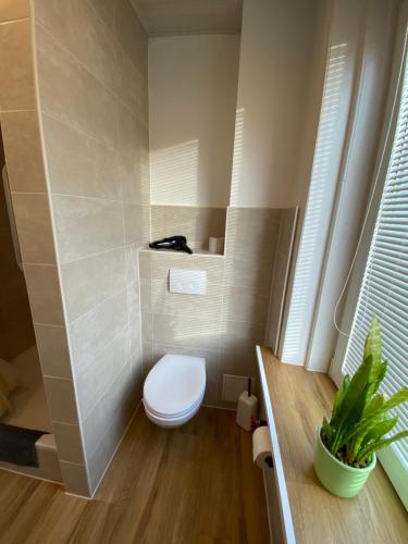 a small bathroom with a toilet in a room at Pensionszimmer Melina in Lübeck