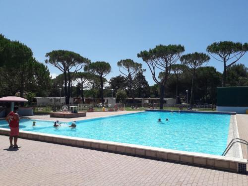 a group of people swimming in a swimming pool at Holiday Home Ostro by Interhome in Marina di Bibbona
