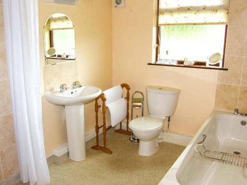 a bathroom with a sink and a toilet and a tub at Bryn yr Haf in Llanfair Clydogau