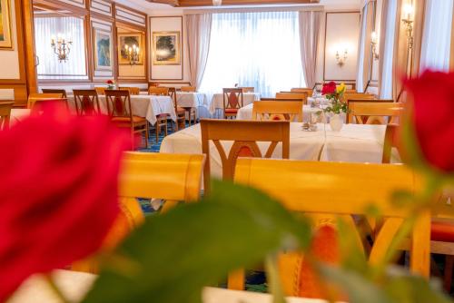 Restaurace v ubytování Hotel Scherer