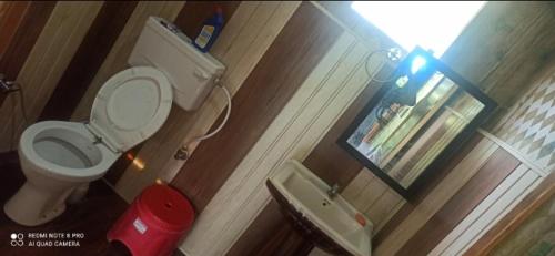 a small bathroom with a toilet and a mirror at Golden valley cottages, Chail in Chail