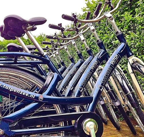a group of bikes parked next to each other at Bungalow 6p in Noordwijk