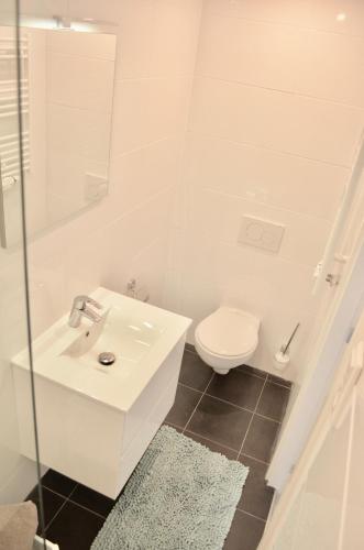 uma casa de banho branca com um lavatório e um WC em De Wulk 26 em Zandvoort