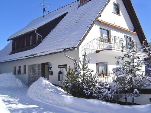 Apartment Scherzinger-1 by Interhome om vinteren