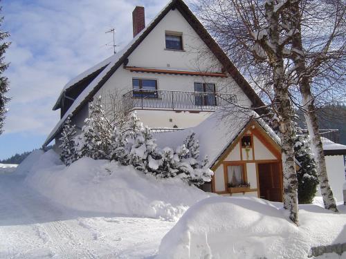 アイゼンバッハにあるApartment Scherzinger-1 by Interhomeの雪に覆われた家