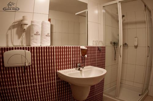 ein Bad mit einem Waschbecken und einer Dusche in der Unterkunft Wellness Pension & Salaš Šariš Park in Prešov