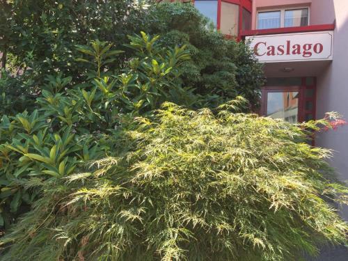 Fotografie z fotogalerie ubytování Apartment App- 21 by Interhome v destinaci Caslano