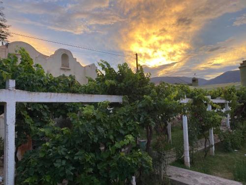 Phong cảnh thiên nhiên gần nhà nghỉ B&B