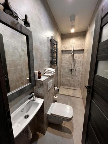 y baño con aseo, lavabo y ducha. en Apartamenty na Maja -1-, en Skierniewice