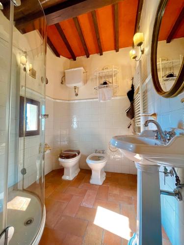 a bathroom with a toilet and a sink and a shower at Palazzo Barbini Dimora Storica in Castiglione del Lago