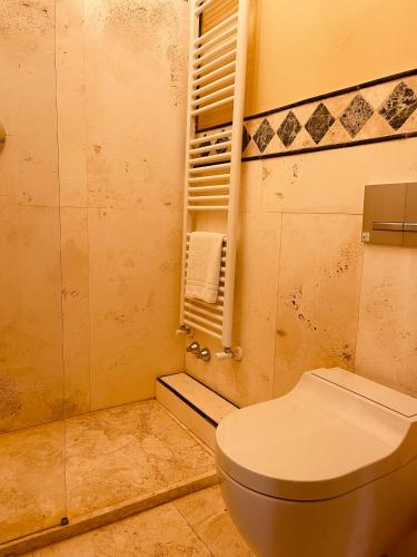 a dirty bathroom with a toilet and a shower at Palazzo Barbini Dimora Storica in Castiglione del Lago