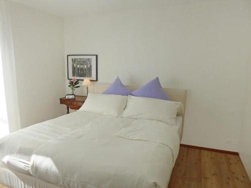 Ένα ή περισσότερα κρεβάτια σε δωμάτιο στο Apartment Chesa Sur Puoz 7 by Interhome