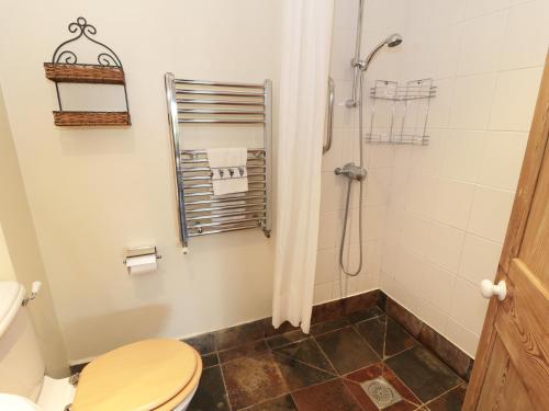 a bathroom with a toilet and a shower at Henhouse Cottage in Gillamoor