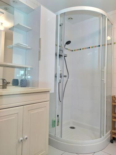 une salle de bain blanche avec une douche et un lavabo dans l'établissement Maison Chic & charme Calme avec Jardin, au Mans