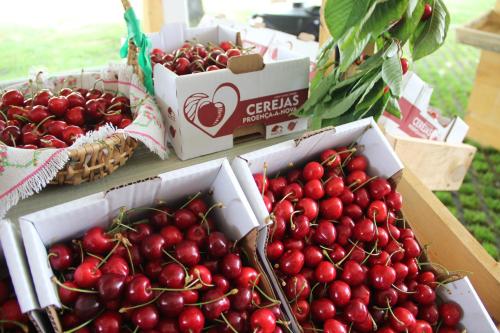 a bunch of cherries in boxes on a table at Monte das Cerejas in Montes da Senhora