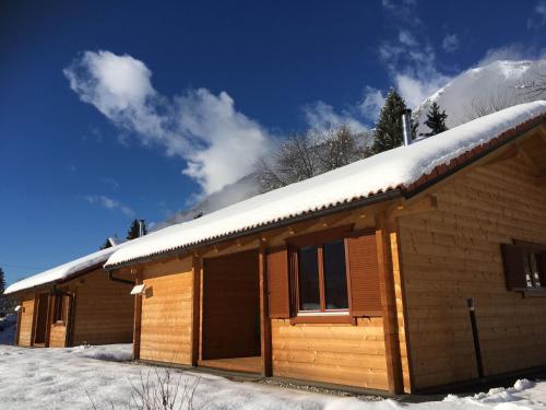 a log cabin with snow on the roof at Chalet Stressless by Interhome in Presseggen