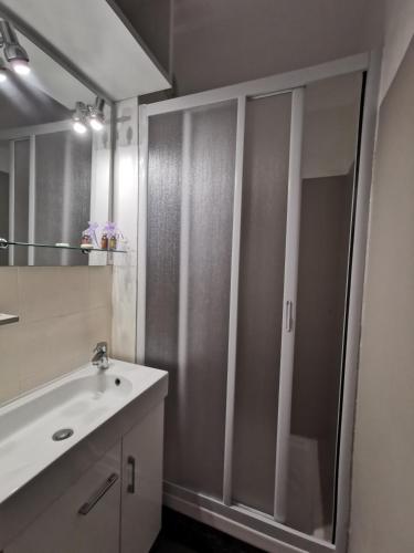 une salle de bain avec douche et lavabo dans l'établissement Domaine de la Coudoulière, T2 climatisé terrasse vue mer sans vis à vis plage à 100m, à Six-Fours-les-Plages